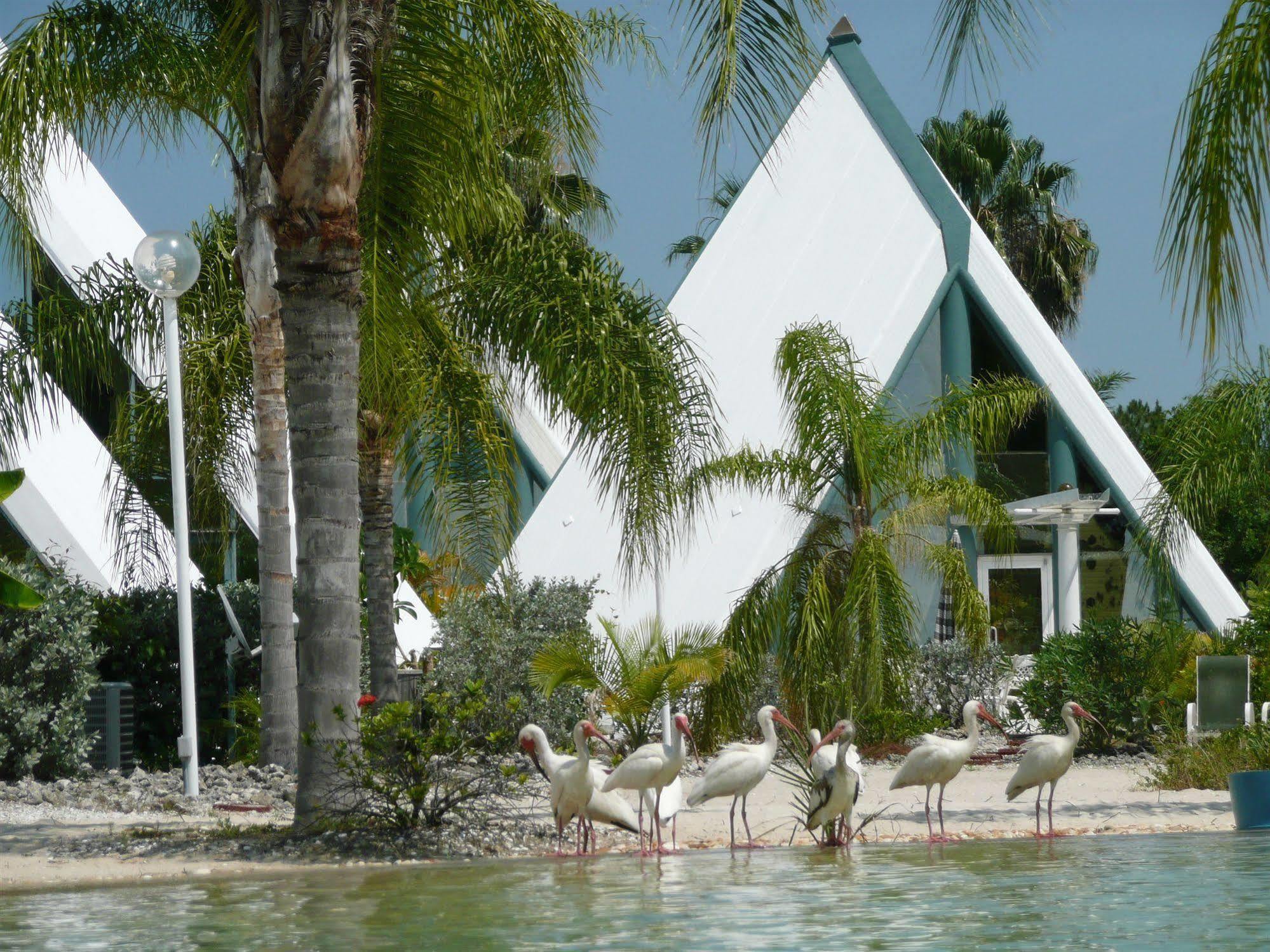 Hotel Pyramids In Florida Estero Exterior foto